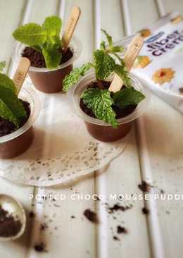 Choco mousse pudding