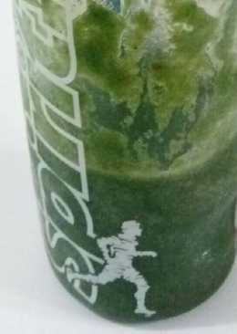 Jus sehat/jus diet/jus sayur