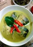 Gulai Ikan Tongkol