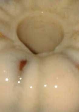 Agar" durian biji