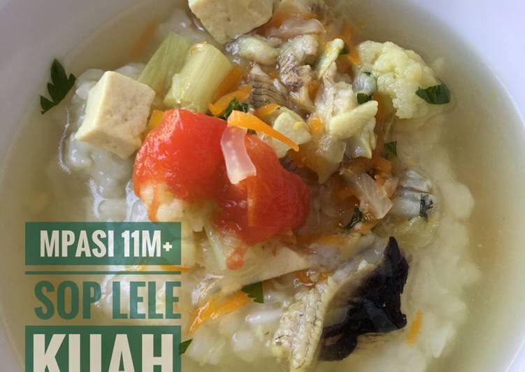 resep makanan MPASI 11m+ Sup Lele Sayuran