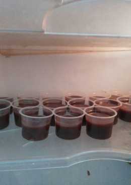 Puding. Coklat nutrijel