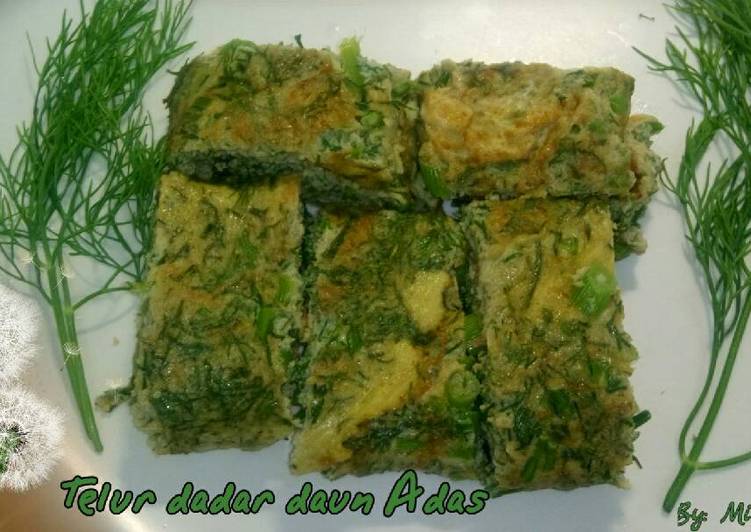 2000 Gambar Daun Adas HD Paling Keren 2000 Gambar Daun Adas HD Paling Keren