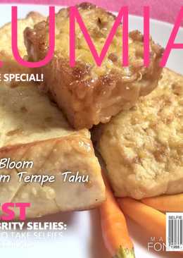 15. Bacem Tempe Tahu