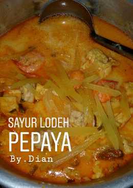 15.sayur lodeh pepaya ++(plus tahu,tempe dan udang)