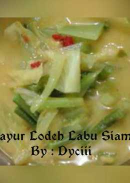 Sayur Lodeh Labu Siam dan Kacang Panjang