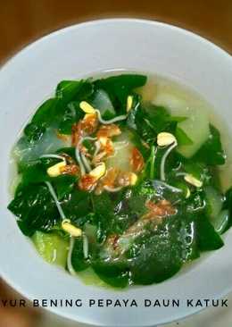 Sayur bening pepaya daun katuk dan tauge kedelai