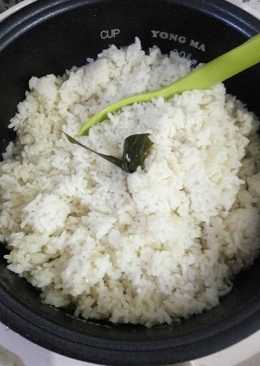 Nasi ayam rice cooker simple