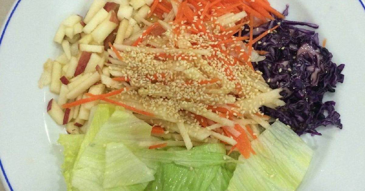 19 resep  salad  buah  dan  sayuran sehat  enak  dan  sederhana 