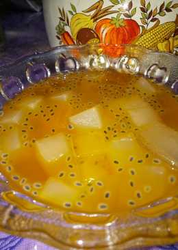 Es Nutrigel Orange Squash