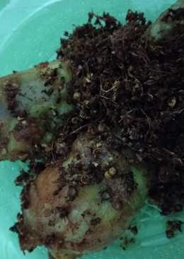 Ayam goreng lengkuas