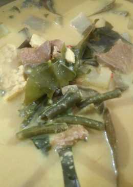 Sayur lodeh sederhana