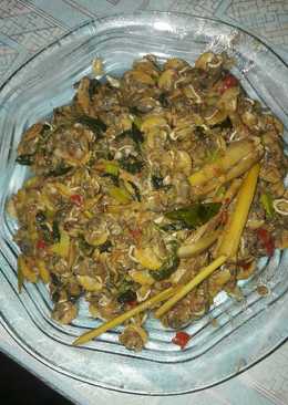 Rica2 kerang