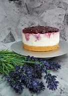 No Baked Blueberry Cheese Cake