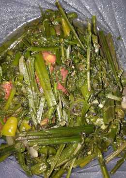 Tumis pakis pedas