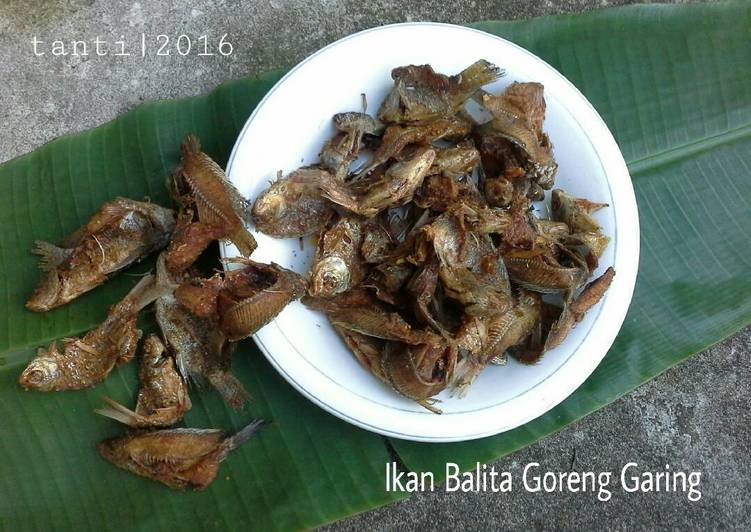  Resep  Ikan Balita  Goreng  Garing oleh Tanti Cookpad