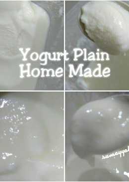 Yogurt Plain HOME MADE
