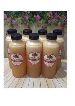 Diet Juice Watermelon Nectarine Orange