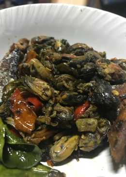 Kerang cabai ijo