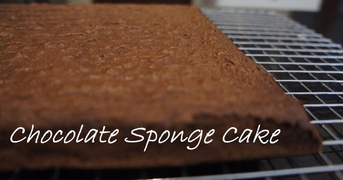 Resep Chocolate Sponge Cake 1 LAYER