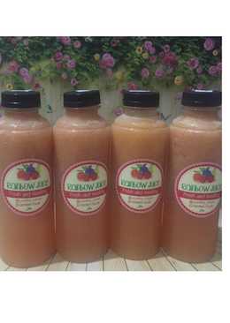 Diet Juice Jambu Bol Orange Papaya Apple