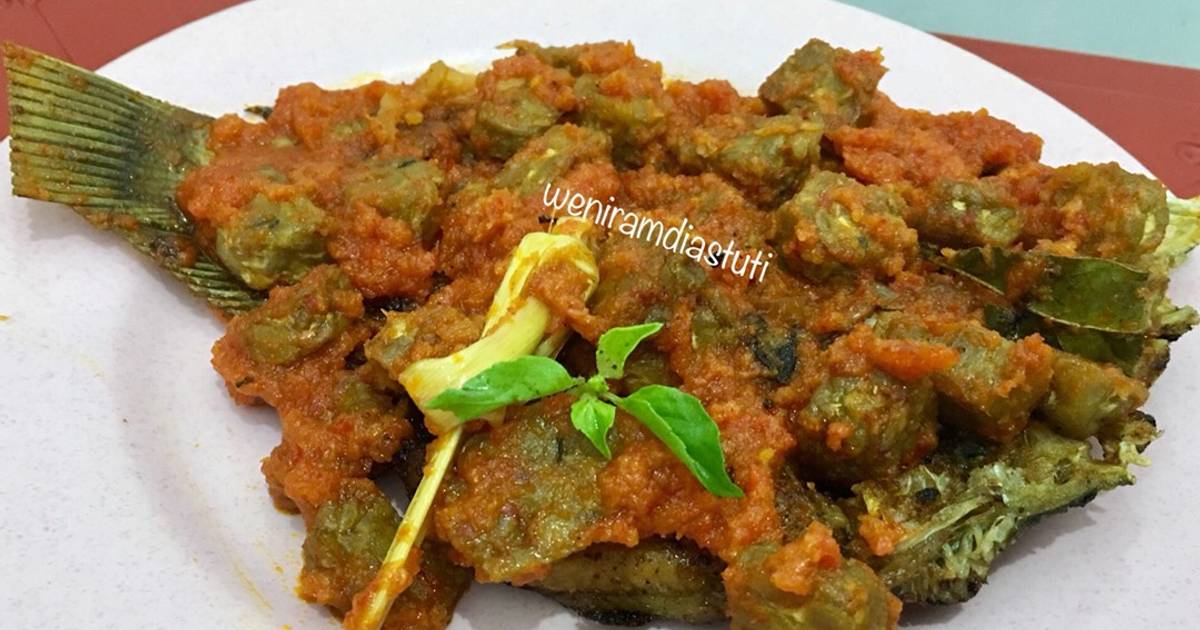Resep Masakan Dari Telur Dan Tempe - Asep Indonesia