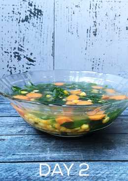 Diet GM day 2 (sayur bening daun katuk)