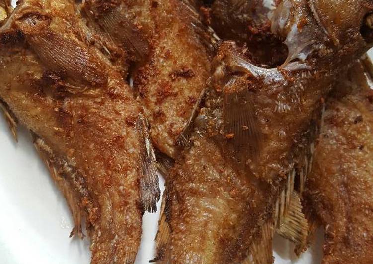 Download Gambar Ikan Kerapu Goreng - Gambar Makanan