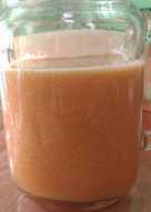 20. Jus Sehat 5 warna (Mangga Plum Kiwi Wortel Tomat)