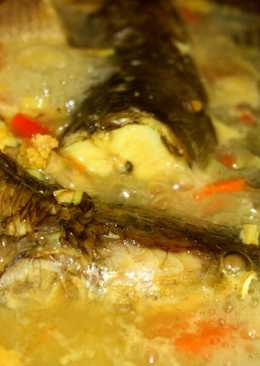 Sup Ikan Gabus Praktis