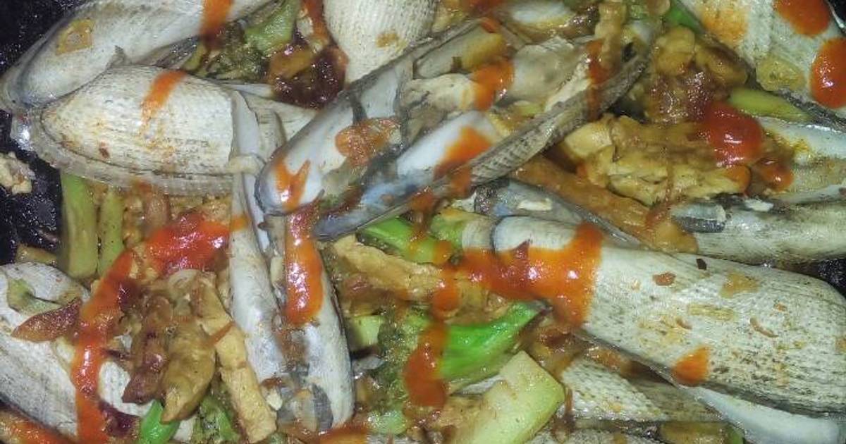  Resep  Tumis Kerang Salju  Gobyos oleh ikkaow Cookpad