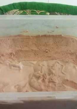 Ice cream simple enak