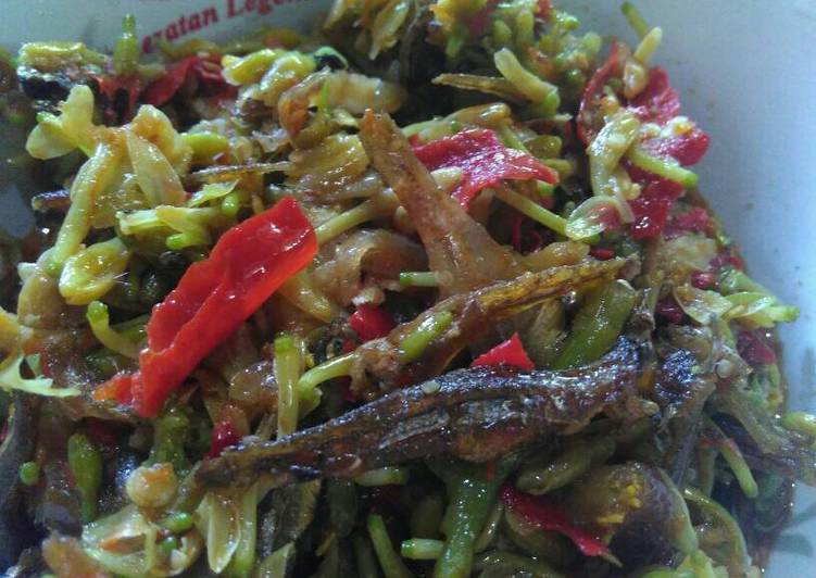 Resep Sambel bunga pepaya teri no pahit Oleh mariam-reev