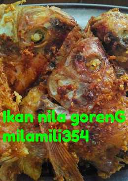 Ikan nila goreng spesial lunch