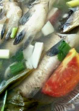 Sup/Sop Ikan mas Muda