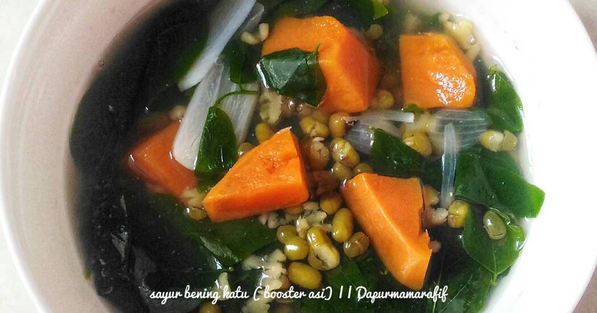 84 Resep Sayur Daun Katu Penambah Asi Enak Dan Sederhana - Cookpad