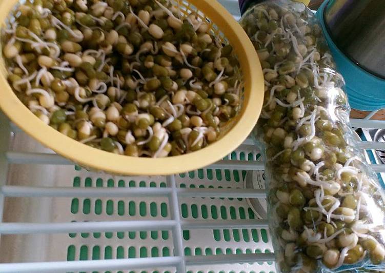 resep lengkap untuk Cambah kacang hijau simple