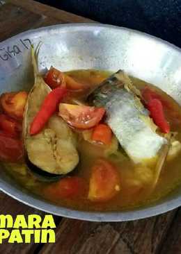 Palumara Ikan Patin