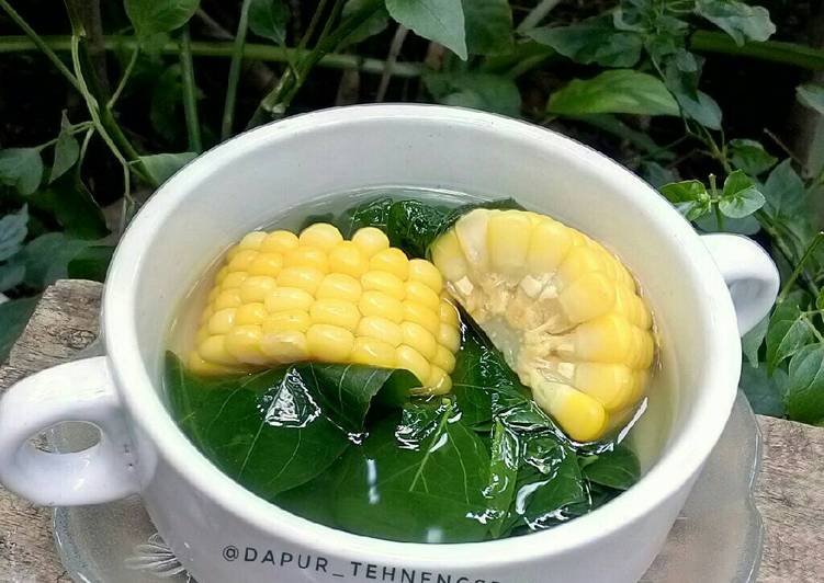 resep Bening katuk jagung