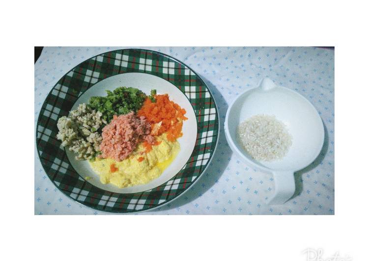 Resep Mpasi Salmon 6m+ **** slowcooker oleh mamaluve - Cookpad