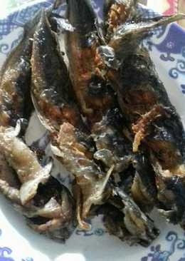 Ikan lele garing