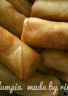 Lumpia ayam sayur