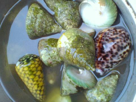 Jukut kerang ala Mhiimie NieTha recipe step 1 photo