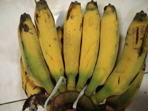 Bolu pisang kukus lembut murah banget dan gampang no mixer
