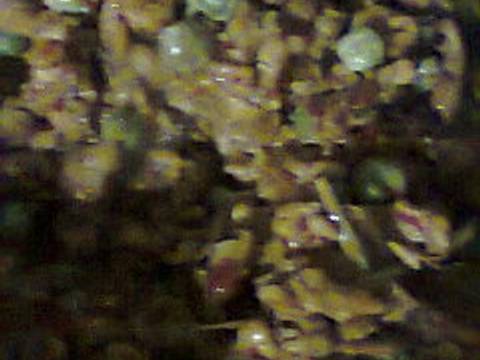 Tumis tempe & rimbang masak pedas recipe step 9 photo