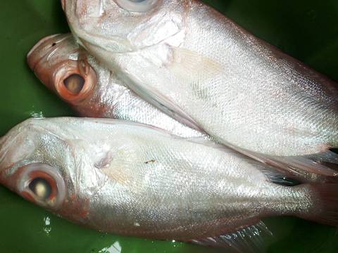 PINDANG IKAN MANGLA KUAH KUNING #5resepterbaruku recipe step 17 photo