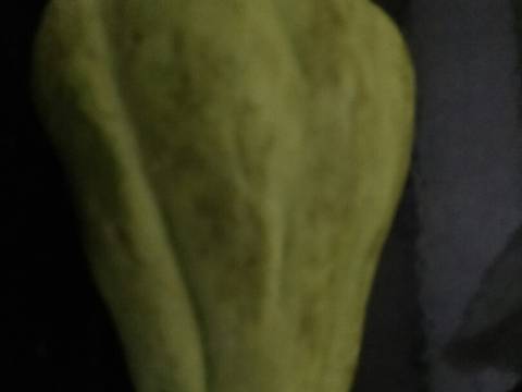 Lalapan Labu Siam Rebus recipe step 1 photo
