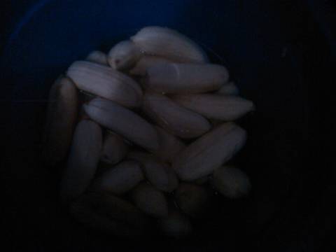 Pisang epe khas kwandang-gorut recipe step 1 photo