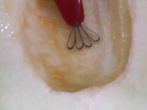 Day3 - Es Serut Melon