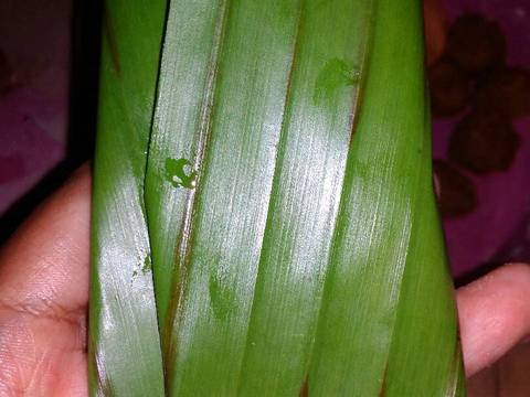 Mendut Ubi Kuning Isi Unti (#postingrame2_recook umbiumbian) recipe step 8 photo